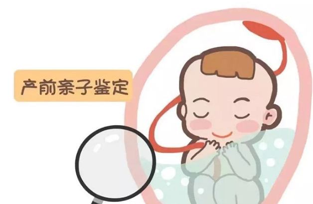 银川胎儿如何办理亲子鉴定,银川无创产前亲子鉴定多少钱
