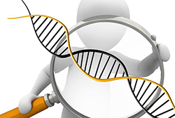 银川DNA检验鉴定中心在哪，银川亲子鉴定需要什么流程