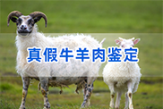 银川羊类动物鉴定